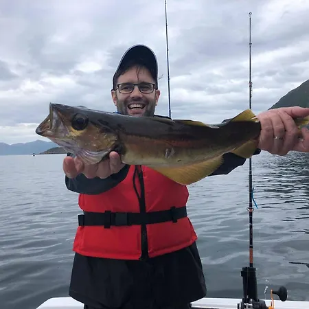 Sunset Semesterbostad *