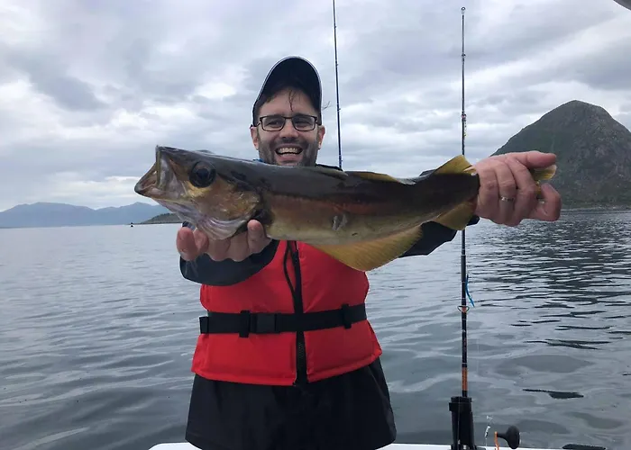 Sunset Semesterbostad *