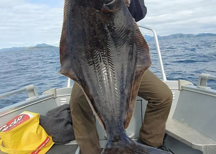 Sunset Semesterbostad